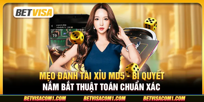 Mẹo đánh tài xỉu MD5 - Bí quyết nắm bắt thuật toán chuẩn xác