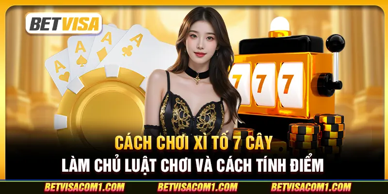 Cách chơi xì tố 7 cây - Làm chủ luật chơi và cách tính điểm